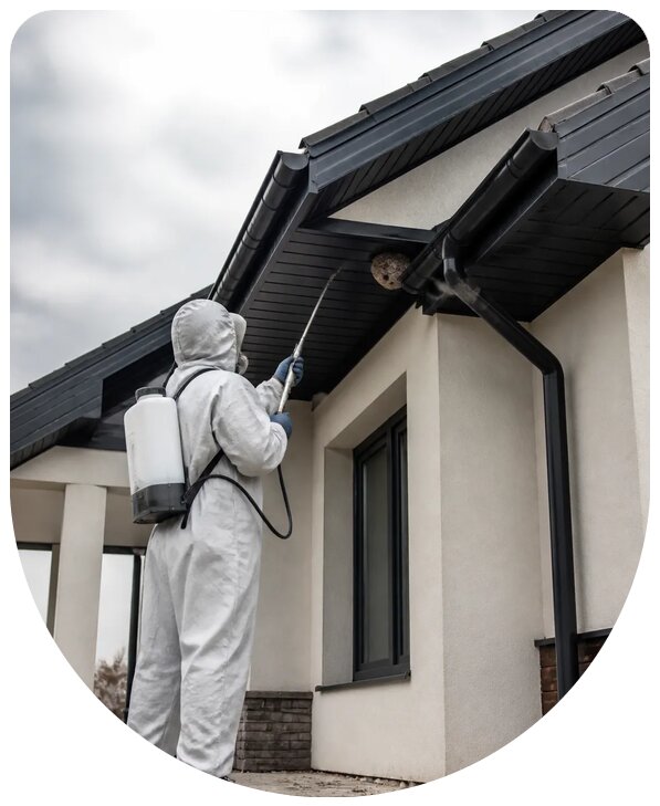 Профессиональная обработка крыши от ос в Губкине с гарантией